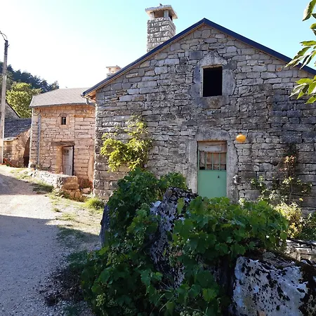 Au Domaine Des Oiseaux * Laval-du-Tarn